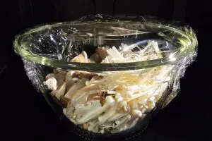 sirabee20251020kinoko3