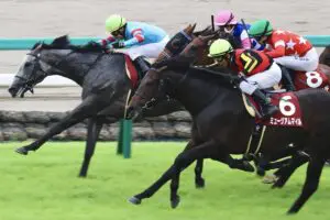 ミュージアムマイルは天皇賞を制するか? 安藤勝己氏が指摘していた「能力」と「弱点」