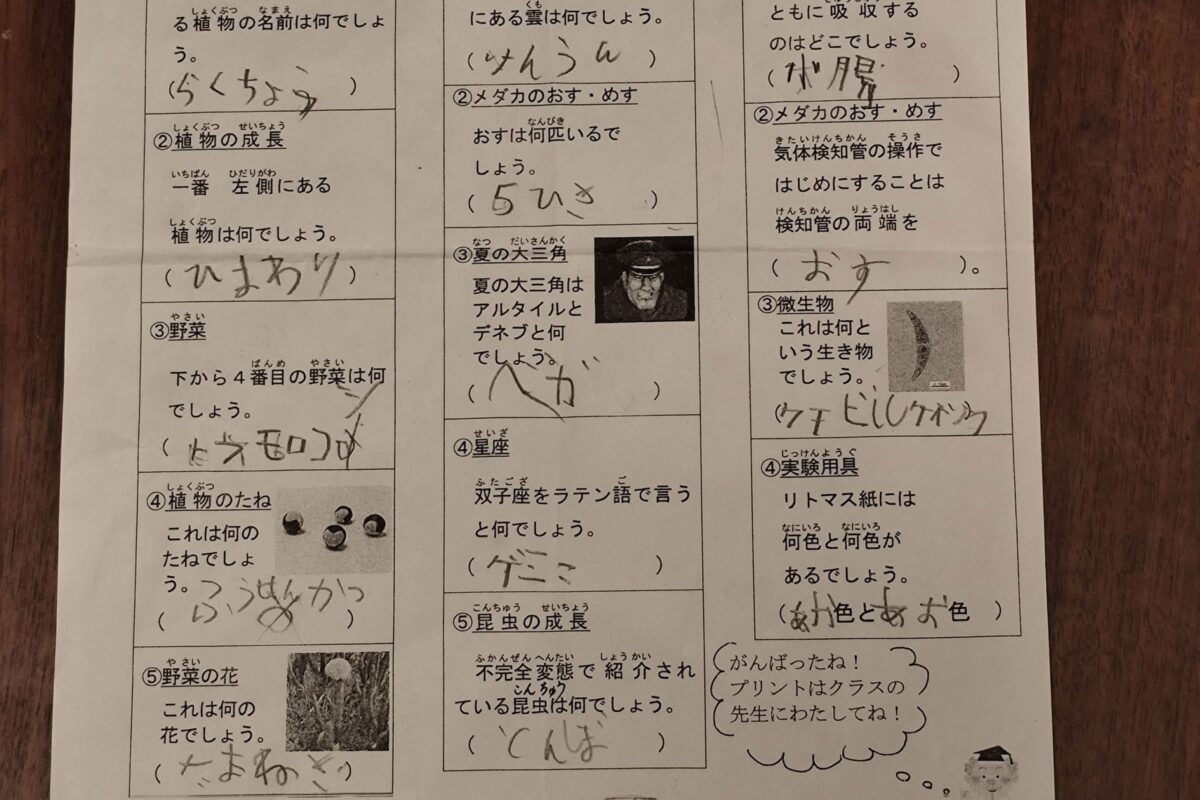 子供のプリントのベガ様