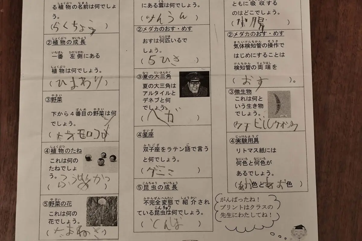 sirabee20251023mbison2