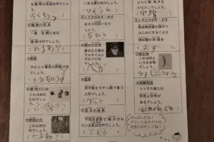 sirabee20251023mbison2