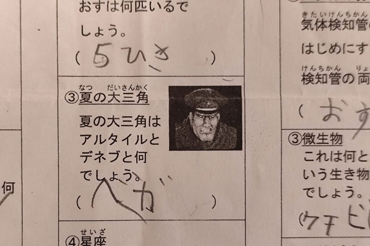 子供のプリントのベガ様