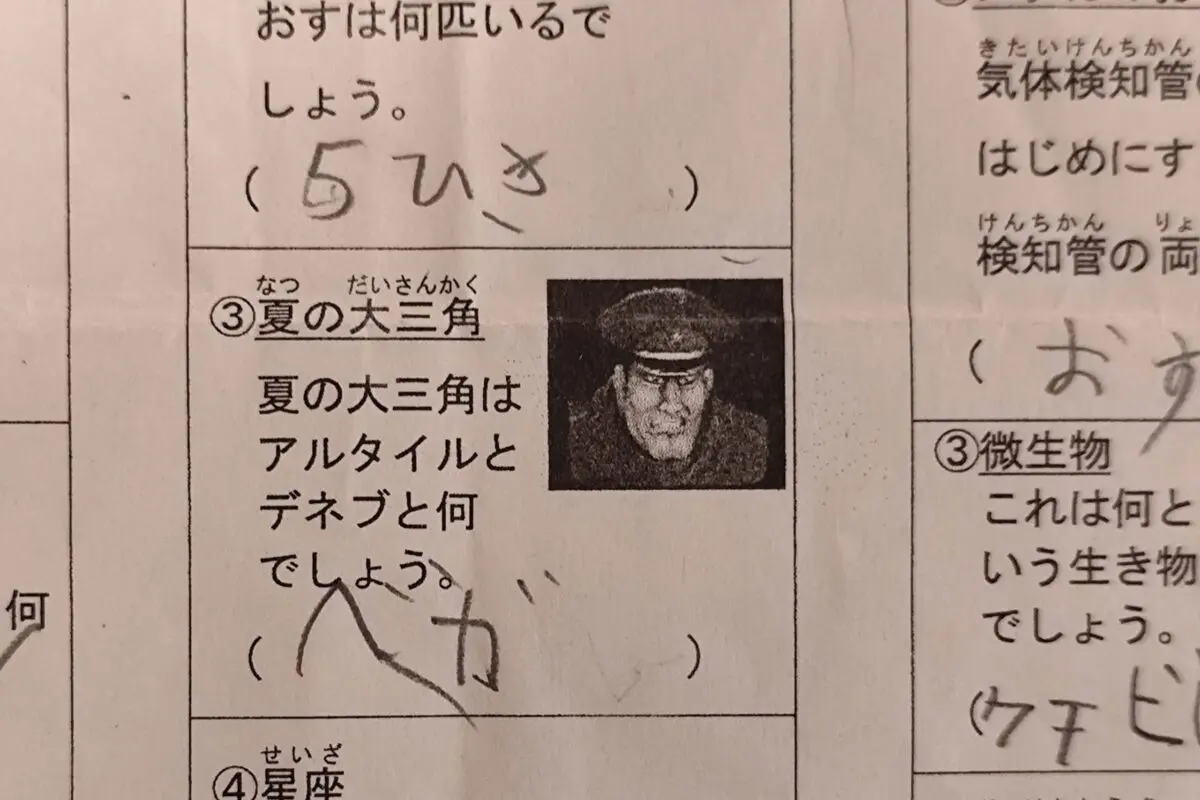 sirabee20251023mbison3