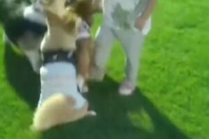 福岡のドッグラン、犬を蹴る我が子を放置する母親が炎上 ドッグラン運営は「回答控える」と事実確認を拒否