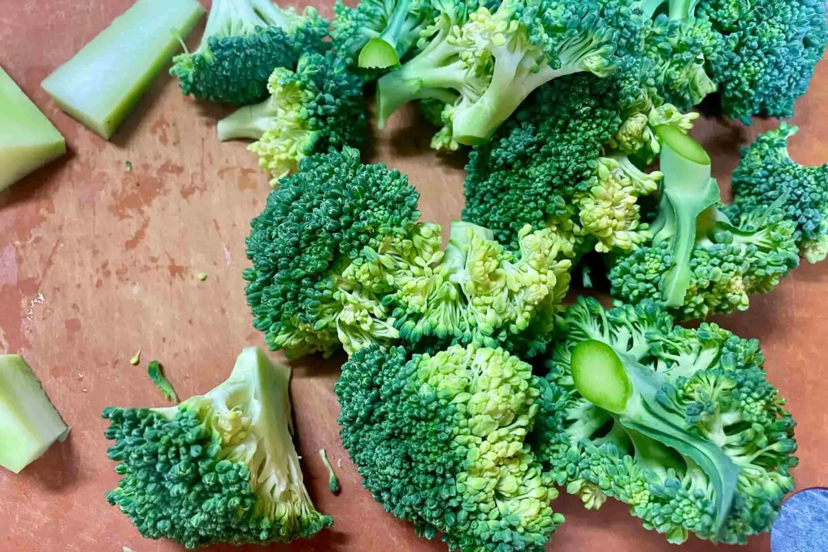 sirabee20251027bloccoli2