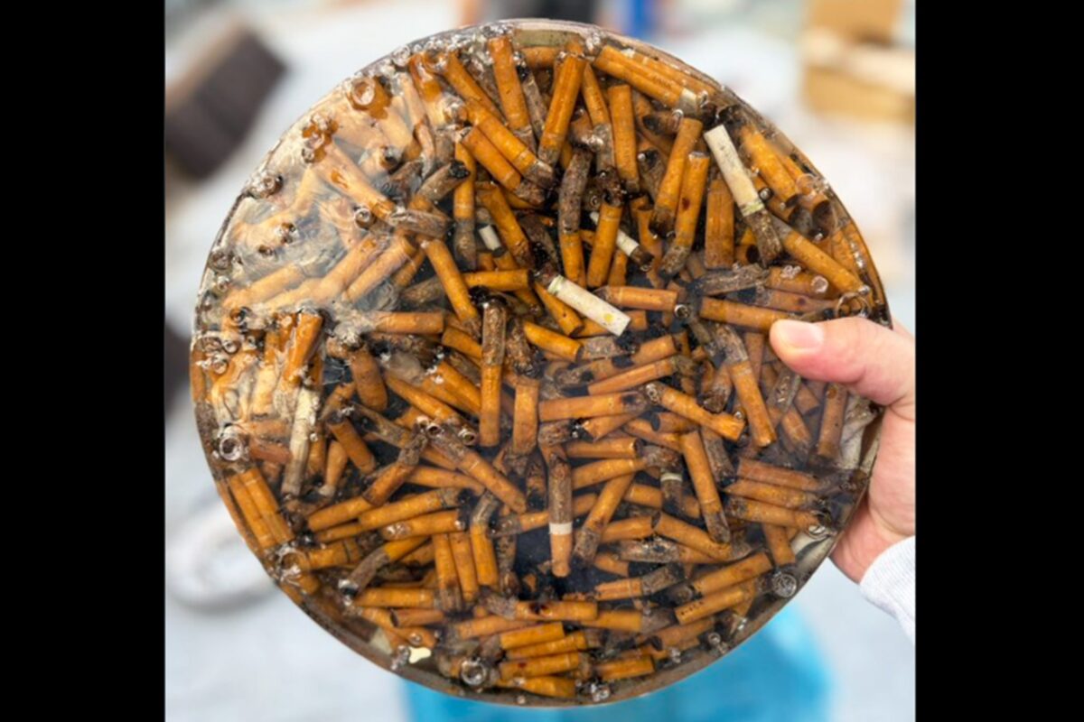 ザ・マミィ・酒井貴士X