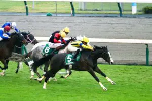 安藤勝己氏、注目の2歳馬フィロステファニを絶賛 「阪神JF、桜花賞まで主役級」