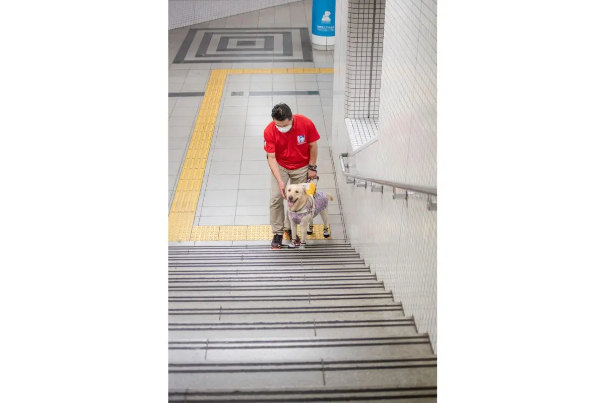 sirabee20251028guidedog4