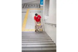 sirabee20251028guidedog4