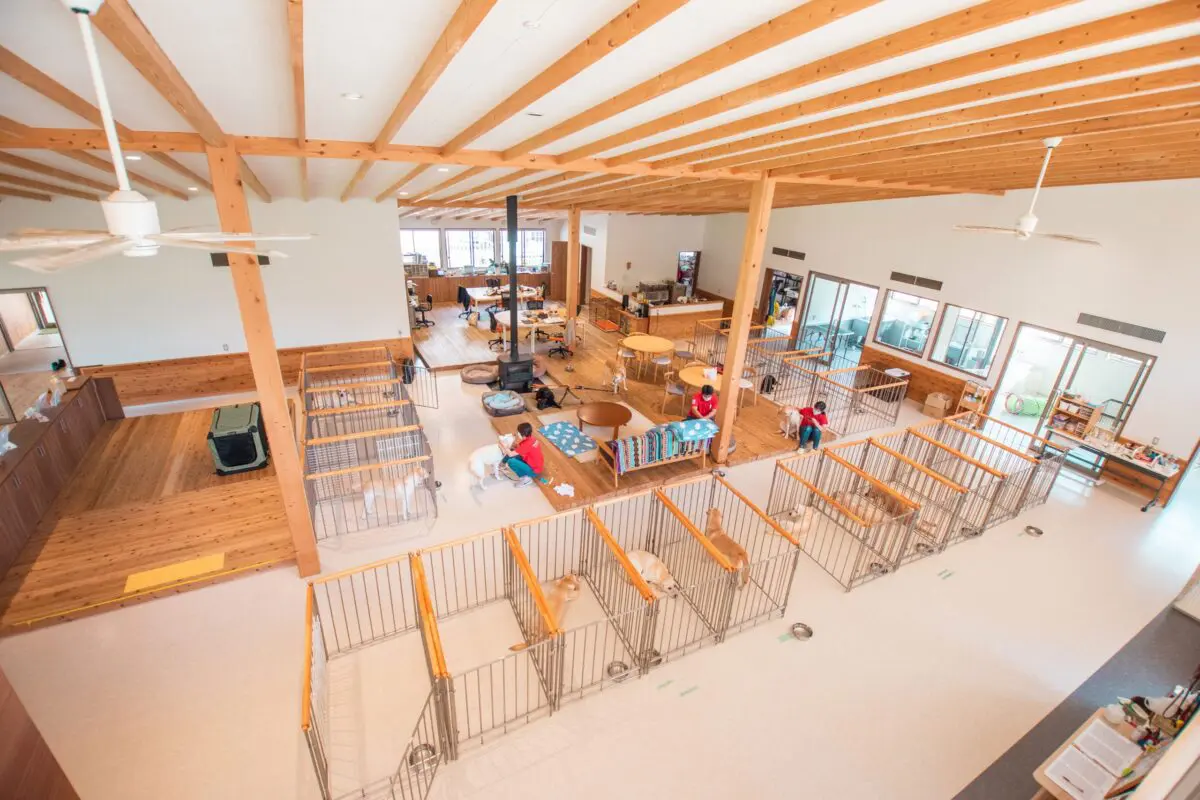 sirabee20251028guidedog5