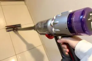 『DayDay』玄関に掃除機かけるの抵抗が… 「捨てるはずのゴミ」でまさかの解決