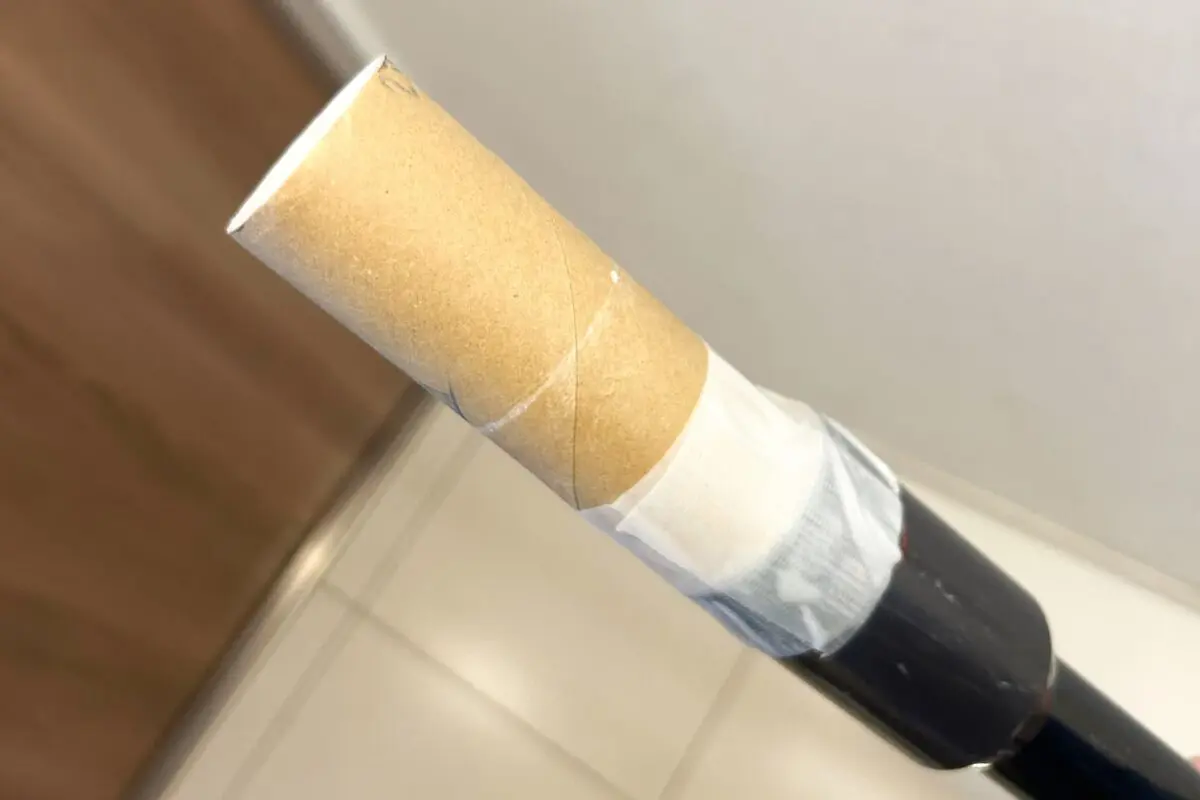 sirabee20251029sojiki2