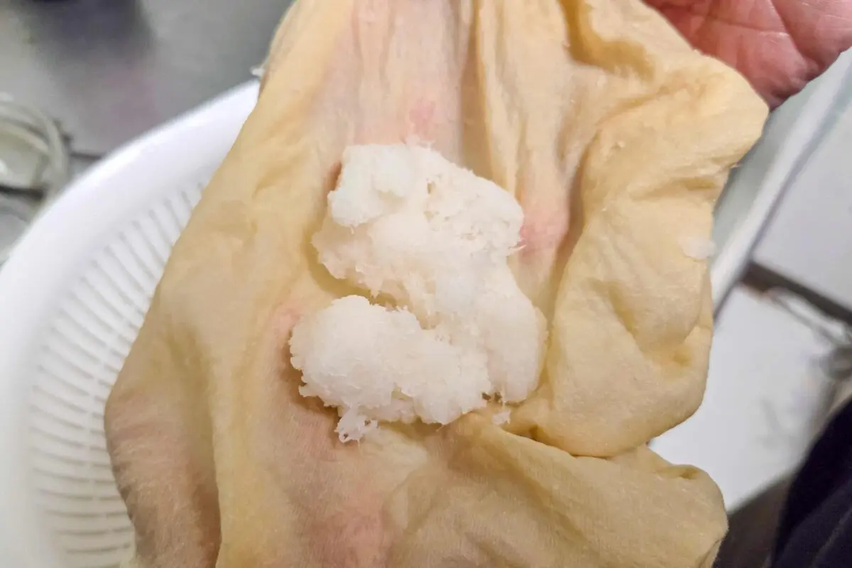 sirabee20251031seiro4