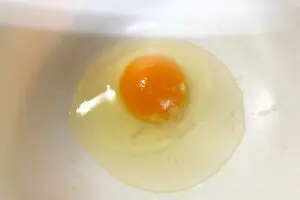 sirabee20251104tofu3