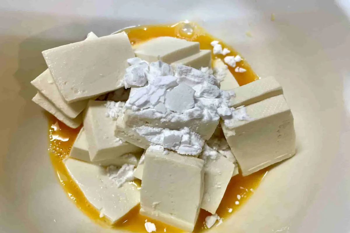 sirabee20251104tofu4