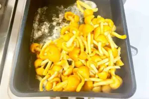 sirabee20251105nameko4