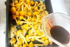 sirabee20251105nameko5