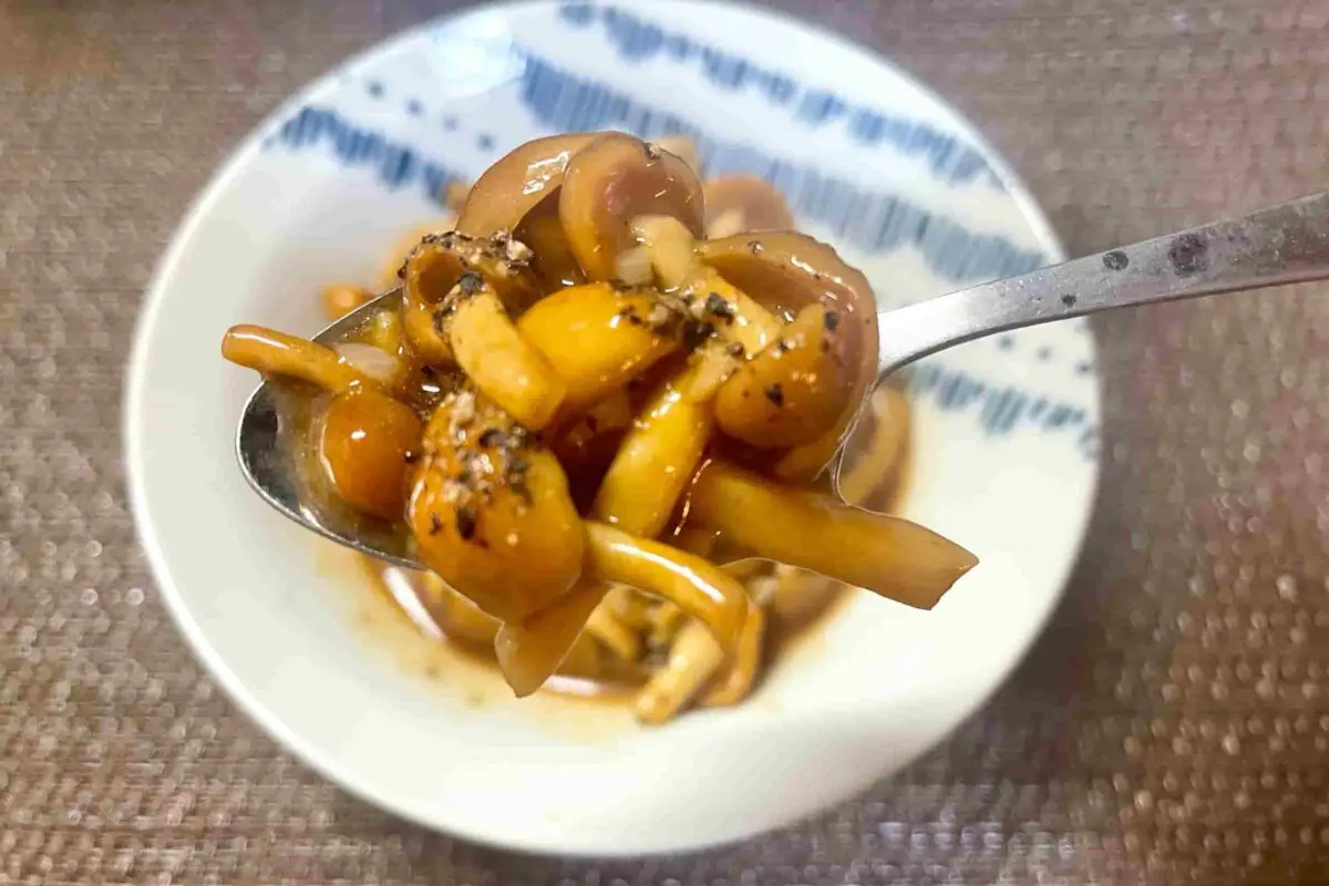 sirabee20251105nameko8