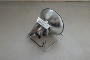 sirabee20251106iwatani05