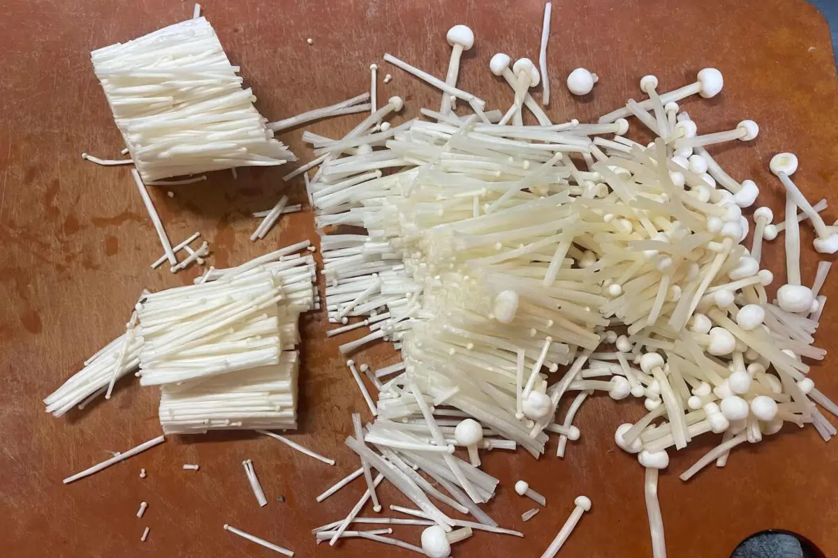 sirabee20251107soringroll3