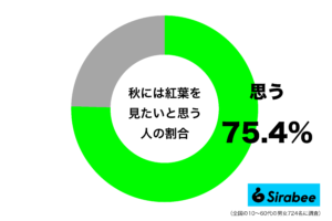 公園や街路樹でも楽しめる 約7割が「秋」に見たいと思う風物詩って?