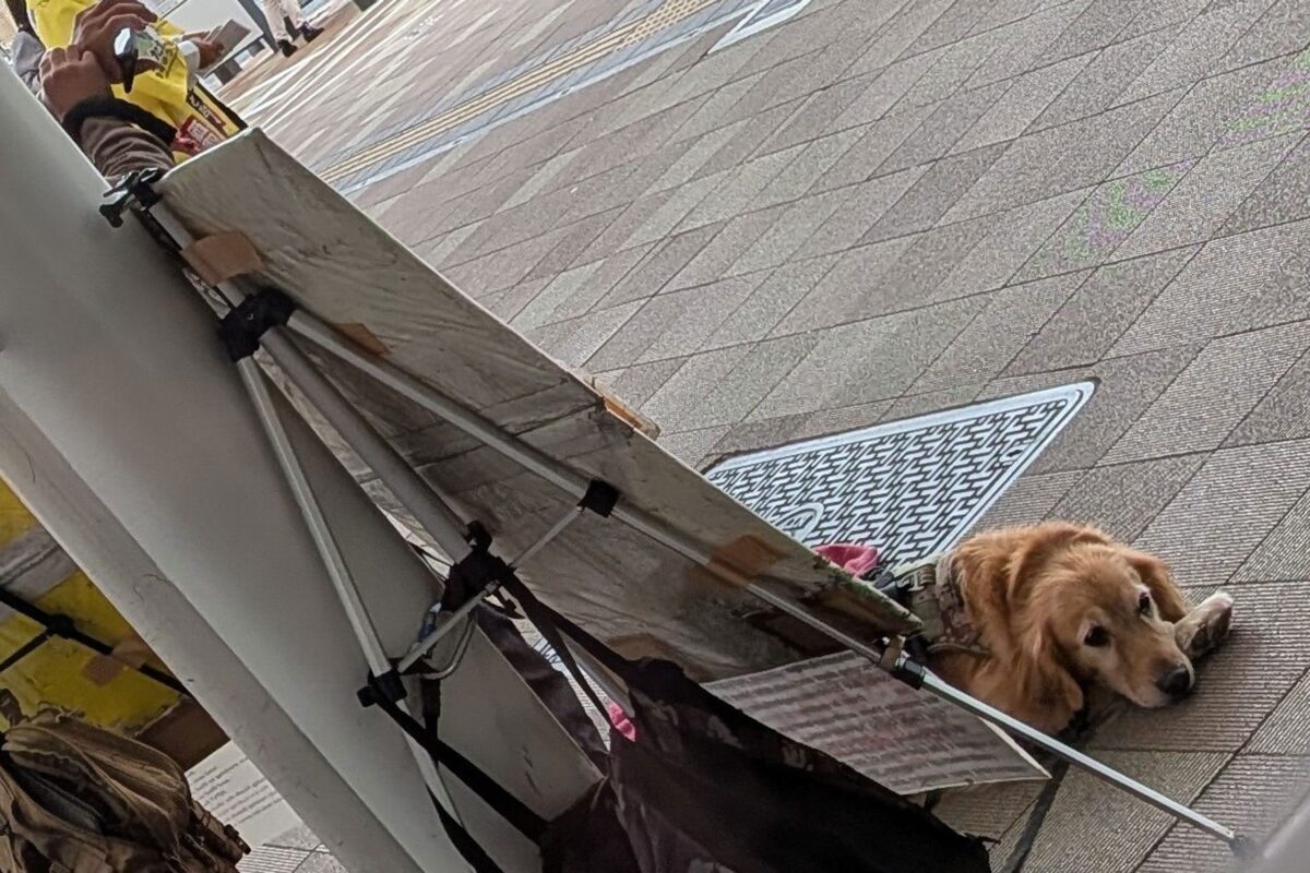 駅前の街頭募金