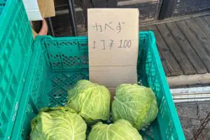 路上販売で目撃した謎の野菜・カべず、その正体に衝撃走る 「今日からこう呼びたい」と話題に…