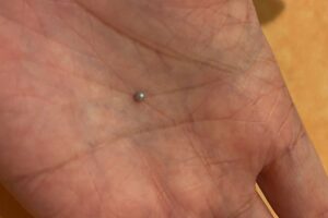 サイゼリヤで出てきた真珠