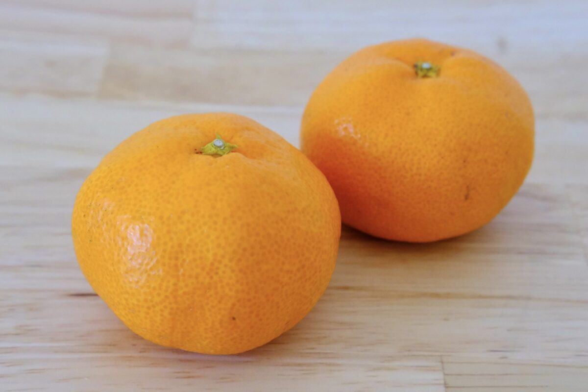 みかんむかんごはん