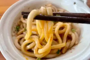sirabee20251116udon7