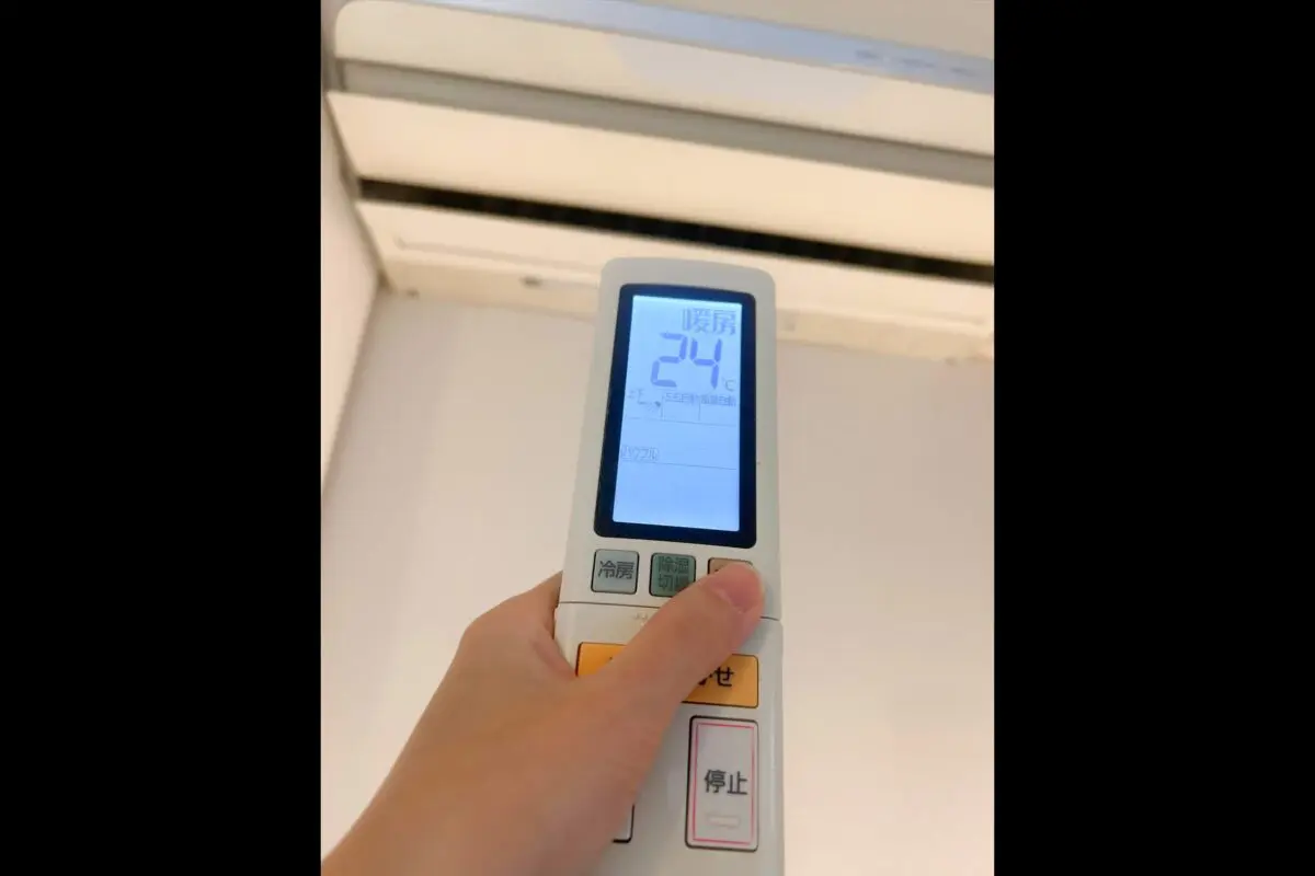 sirabee20251117danbo1