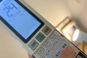 sirabee20251117danbo2