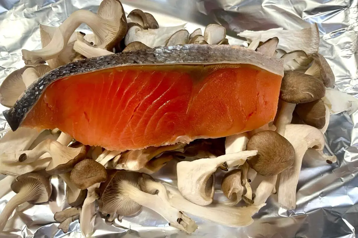 sirabee20251117salmon5