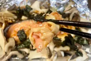 sirabee20251117salmon7