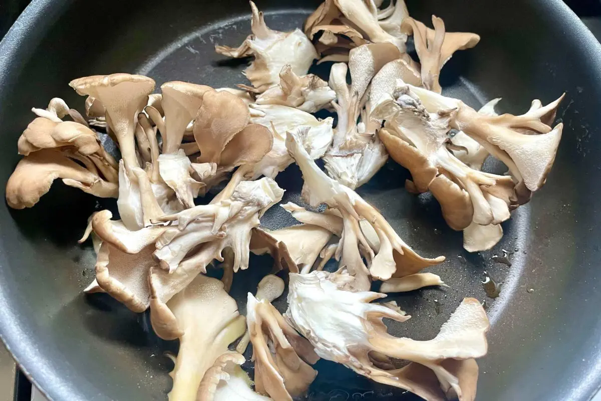 sirabee20251119maitake2