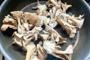 sirabee20251119maitake2