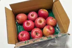 sirabee20251120aeon1