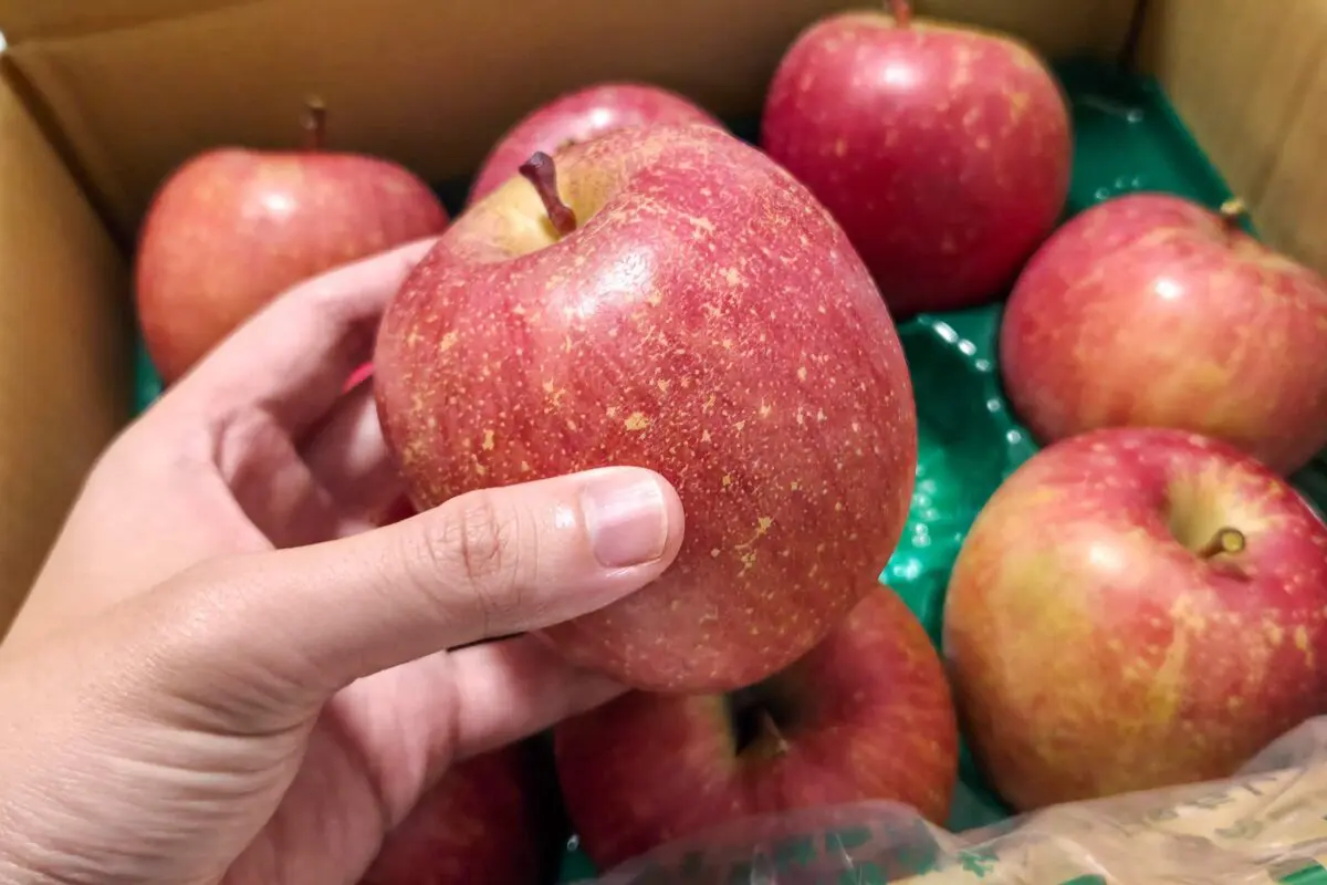 sirabee20251120aeon2