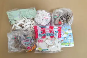 sirabee20251120aeon4