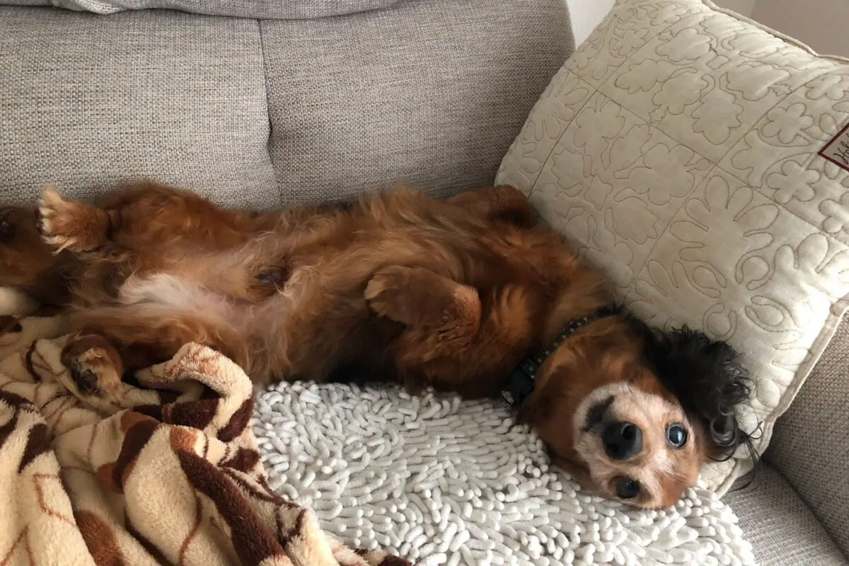 sirabee20251120aron-kun10