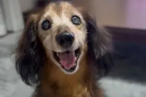 sirabee20251120aron-kun13