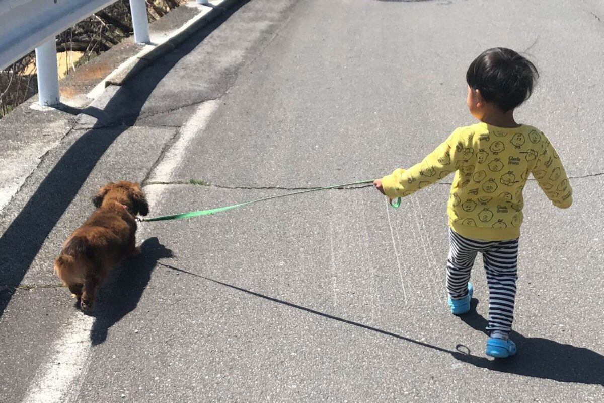 ダックスフンドのアロンくん