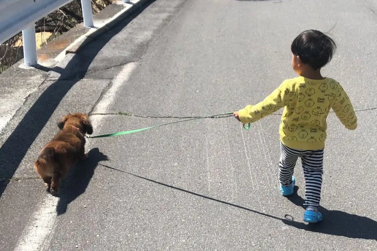 sirabee20251120aron-kun5