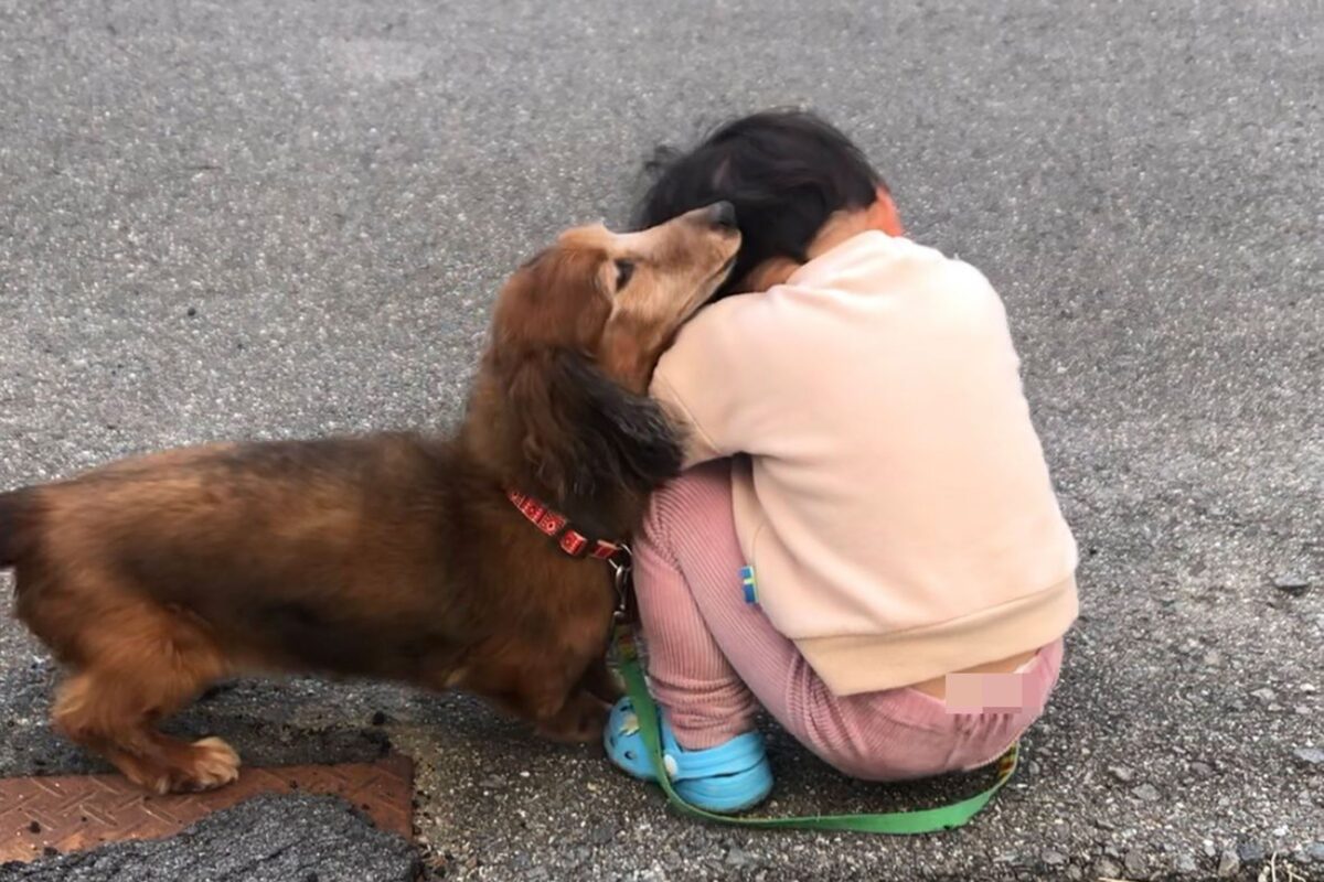 ダックスフンドのアロンくん