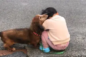 sirabee20251120aron-kun6