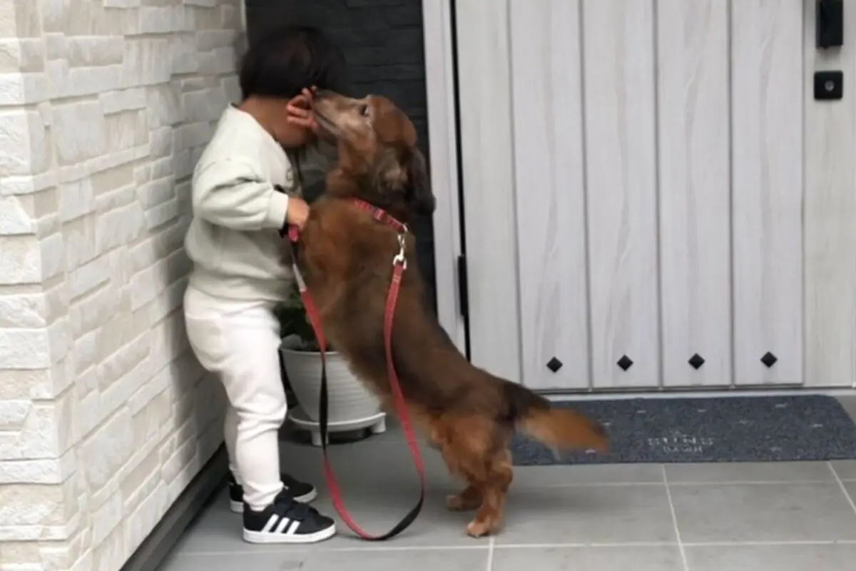 sirabee20251120aron-kun7