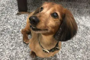 sirabee20251120aron-kun8