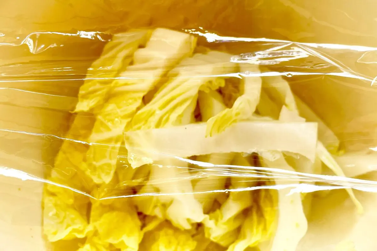 sirabee20251120hakusai8-2