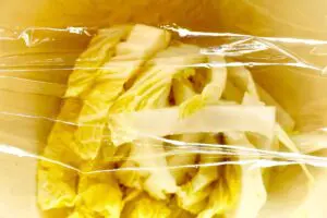 sirabee20251120hakusai8-2