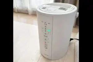 『DayDay』加湿器使ってるのに、なぜか乾燥する…　もしかして原因「コレ」かも